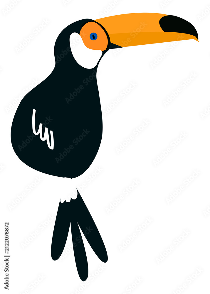 Obraz premium Toucan bird png illustration, transparent background