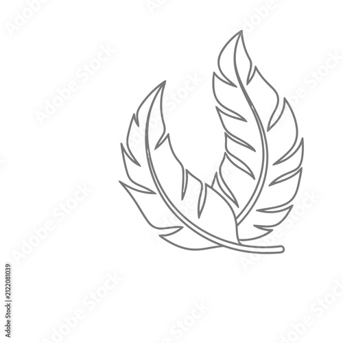 Two feathers outline