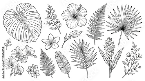 Quadro su tela Tropical Botanical Illustration Set: Exotic Leaves and Flowers Hand-Drawn Sketch