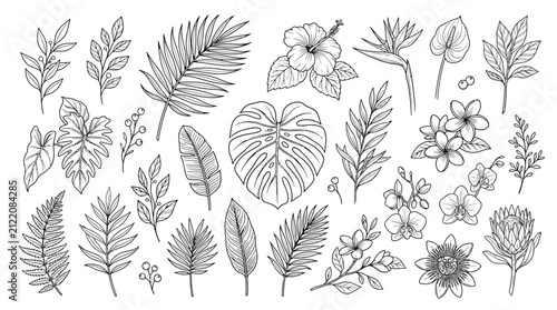 Quadro su tela Tropical Botanical Sketch Collection: Exotic Leaves and Flowers Hand-Drawn Illus