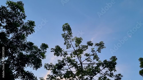 Solid black screen representing lack of visual data dark void background blank opacity