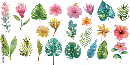 set of vector flowers