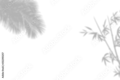 Soft natural shadows of palm leaves and bamboo branches cast on a surface presented as an isolated object on transparent background isolated on transparent background