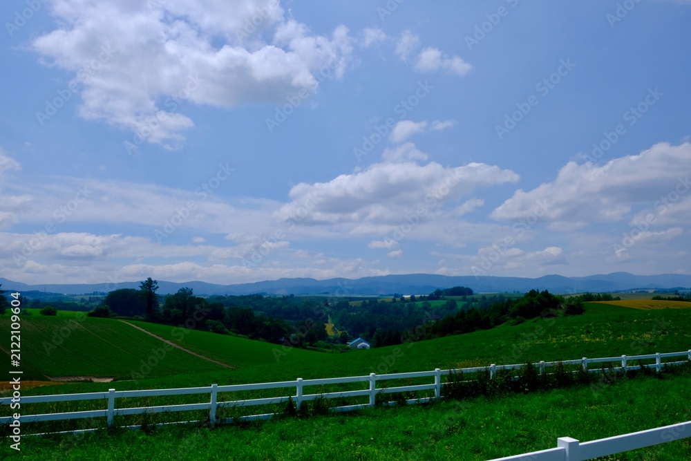 Fototapeta premium Green Rolling Hills under Blue Sky in Biei, Hokkaido, Japan