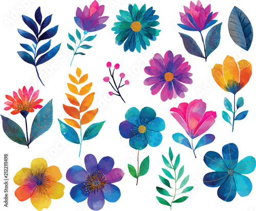 colorful summer flowers
