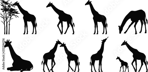 Collection of black wild giraffe silhouettes including adults and baby in various poses on white background