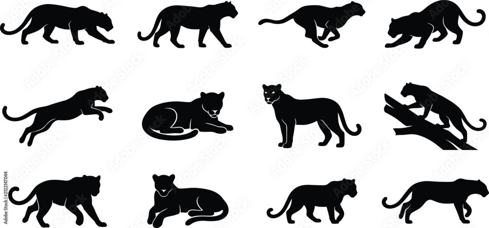 Naklejka premium Set of black panther and leopard silhouettes in dynamic action poses on white background