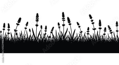 Lavender Silhouette Against White Background Floral Plant Shape