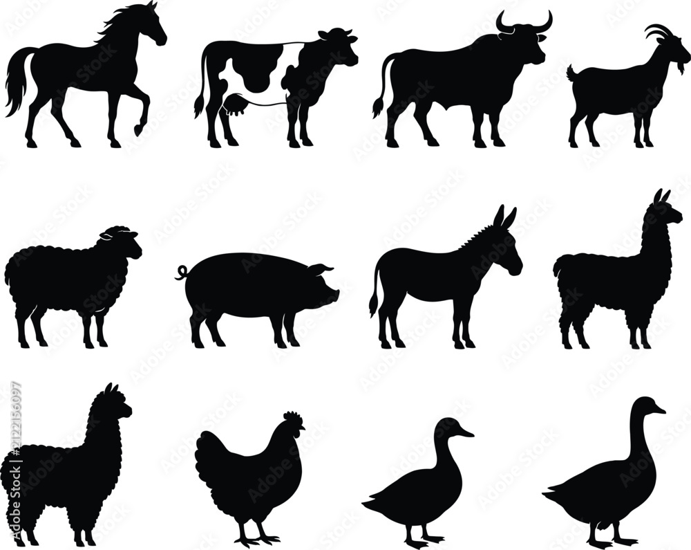 Naklejka premium Set of black silhouettes of various farm animals isolated on a white background for design projects
