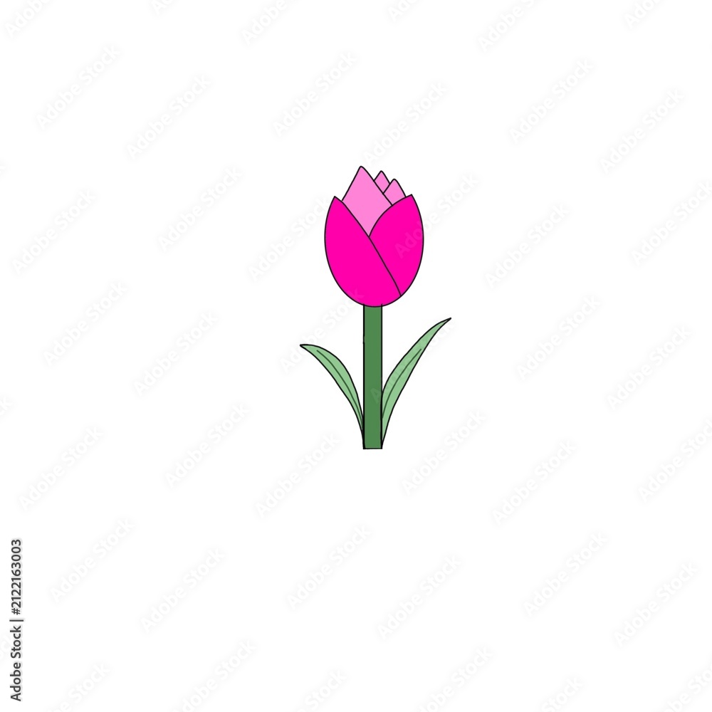 Fototapeta premium pink tulips in vase