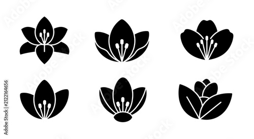 Lily and lotus flower silhouette icons.