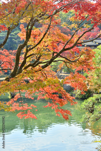 神戸相楽園の紅葉