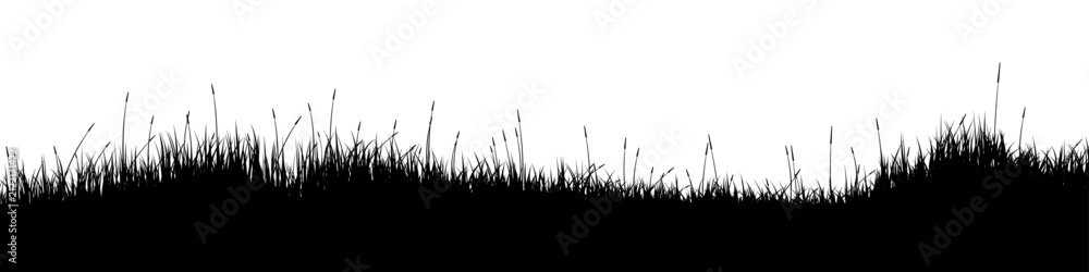 Obraz premium Meadow silhouette with grass, plants on plain. Panoramic summer lawn landscape with herbs, various weeds. Herbal border, frame element. Black horizontal banners. Vector illustration