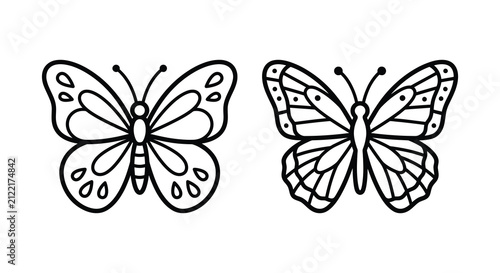 Two butterfly line drawings against a white background detailed wing patterns visible