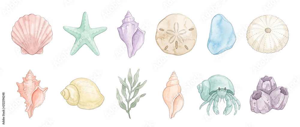Obraz premium Watercolor seashell starfish clipart set featuring sea urchin sand dollar hermit crab seaweed barnacles ocean marine life icons isolated elements on black background for summer design context