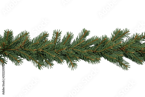 Dense horizontal spruce branch isolated on transparent background
