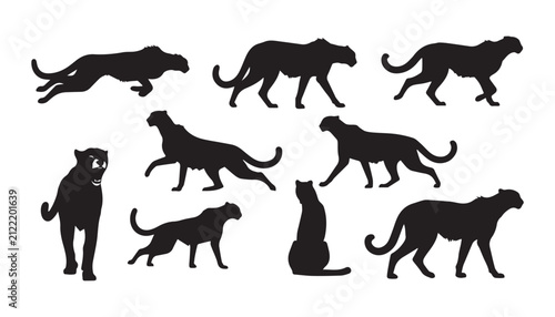 Bild auf Leinwand black and white silhouette set of Cheetah very high quality vector illustration