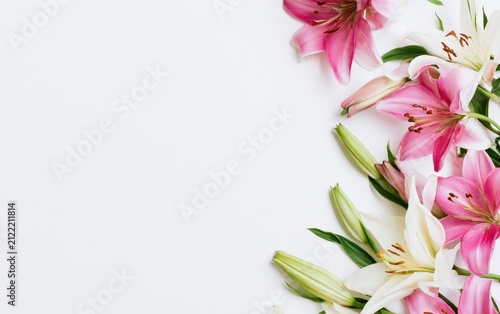 Pink and white lily flowers arranged on a clean white background