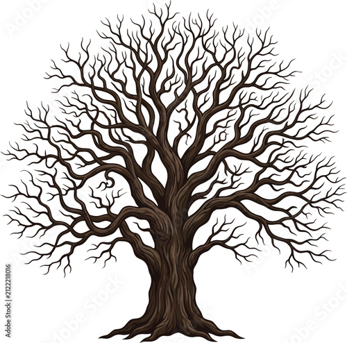 Winter style bare tree illustration with intricate tangled branches on white background branches illustration landscape detailed