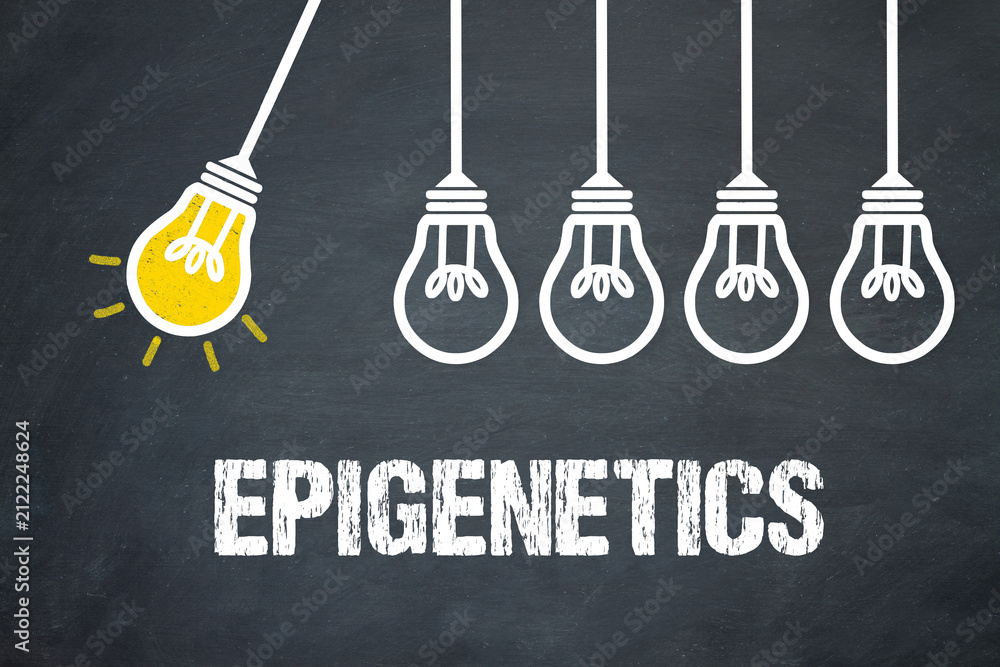 Fototapeta premium Epigenetics