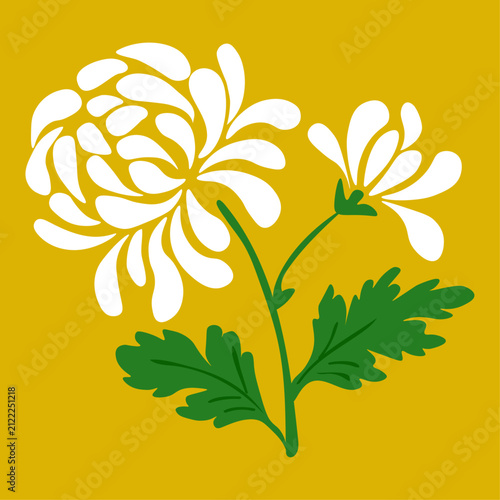 White chrysanthemums on beige backround
