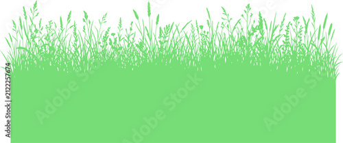 Tall green wild grass border silhouette isolated on transparent background