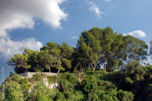 Alberi e nuvole - Salento