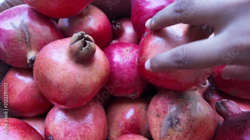 Hand Selecting a Fresh Organic Pomegranate