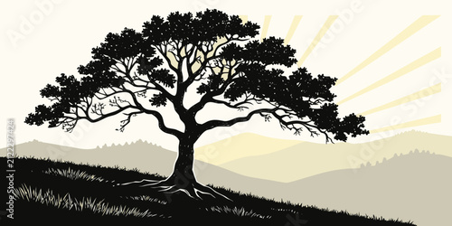 Konstfotografi Serene sunrise over a solitary tree on a misty hillside landscape