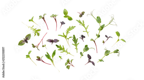 A vibrant assortment of fresh microgreens and sprouts, showcasing various types and colors on a clean white background.