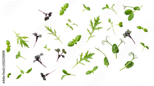 A vibrant assortment of fresh microgreens and young leafy vegetables scattered on a clean white background, showcasing various shapes and colors.