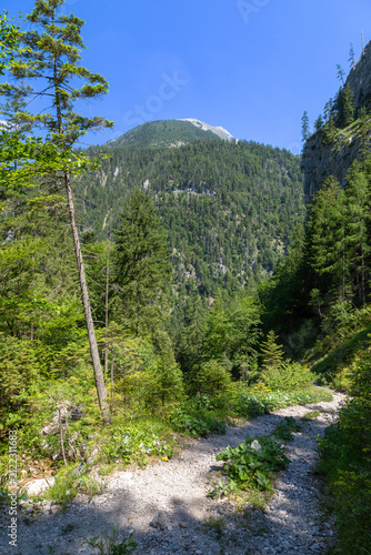 Aussicht im Hartelsgraben im Nationalpark Gesäuse, Steiermark