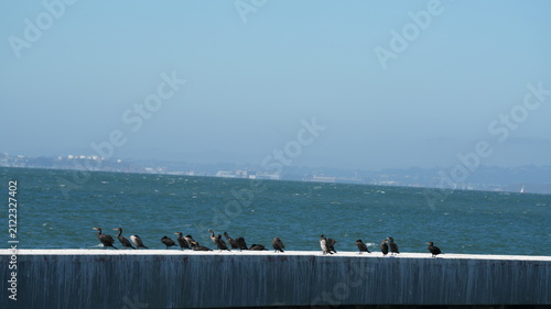 The beautiful coast view in San Francisco of the America