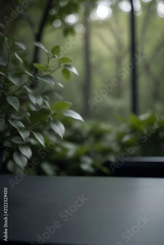 Green plant with dark background