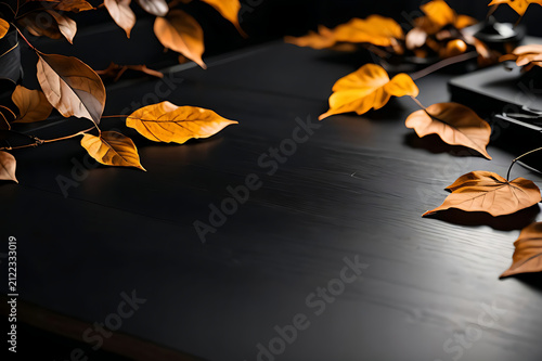 Autumn leaves at dark place