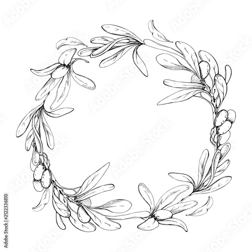 Decorative circle wreath of olive, bay laurel twigs, branches with leaves and fruit. Hand drawn botanical pencil illustration. Gourmet packaging, artisan logos, cookbook chapters, culinary invitations