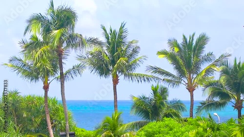 Tropical palm overlooking pristine exotic beach with turquoise ocean Thailand.