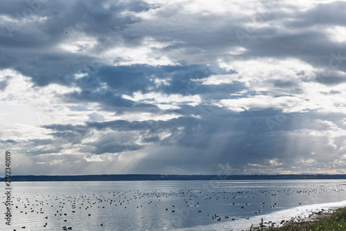 Cloudy sky and serene water with scattered birds in a coastal setting at midday