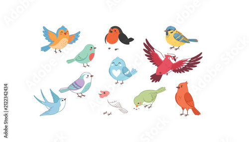 Photography Cute cartoon birds vector illustration set with colorful wildlife flying and sit