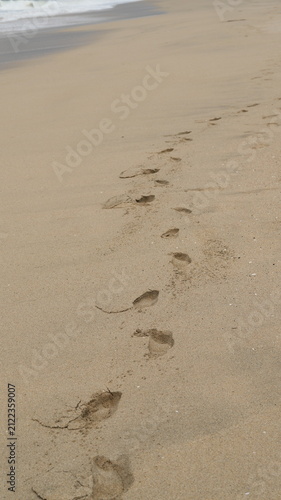 The footprints on the sand near the sea