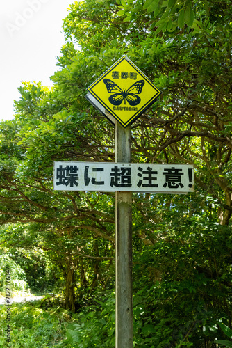 Obraz na plátne 喜界島　蝶に超注意