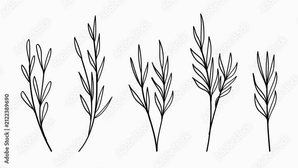 Obraz premium Hand Drawn Wild Plant Branch Line Art Set Vector Illustration