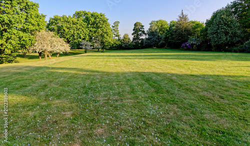 An expansive green lawn and mature trees in a parkland landscape in Maidenhead