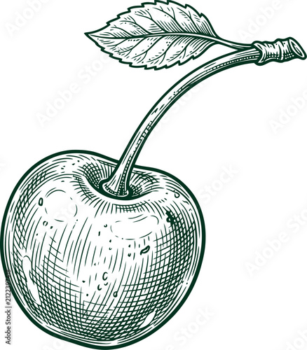 Single cherry fruit illustration in detailed vintage woodcut engraving style graphic