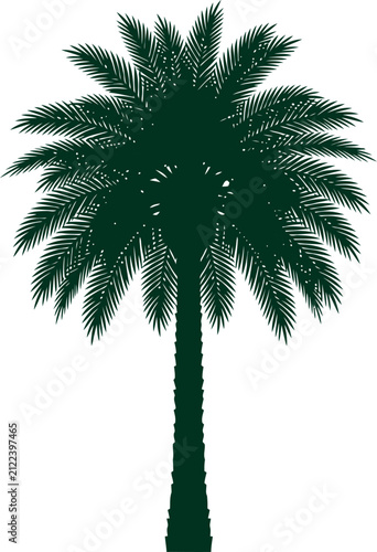 Slender straight palm tree silhouette with detailed green fronds isolated on white