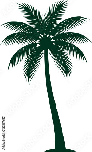 Tall coconut palm tree tilting to the left in clean silhouette