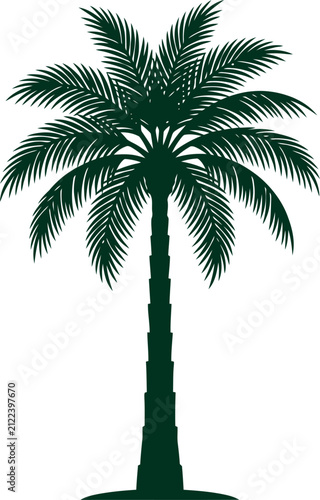 Tall date palm tree silhouette with textured segmented trunk isolated on white
