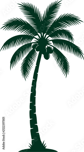 Tropical coconut palm tree silhouette bearing fresh fruits isolated on transparent background