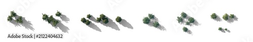 top view diverse shrubs with shadows (shrub cluster, bush collection, overhead shrubs) isolated PNG on a transparent background premium nature cutout
