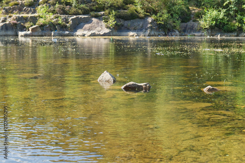 Cuadro en lienzo Clear, shallow water reveals rocks on the bottom, with a vegetated rocky bank an